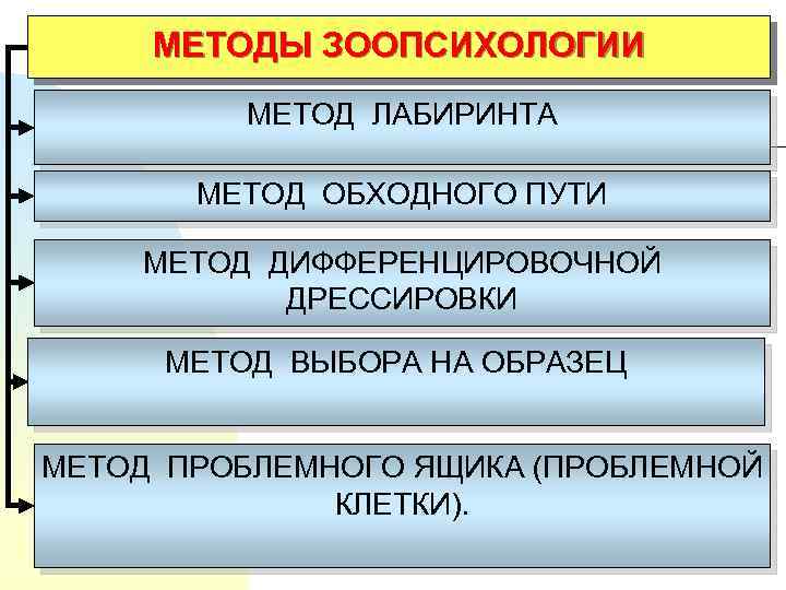 МЕТОДЫ ЗООПСИХОЛОГИИ МЕТОД ЛАБИРИНТА МЕТОД ОБХОДНОГО ПУТИ МЕТОД ДИФФЕРЕНЦИРОВОЧНОЙ ДРЕССИРОВКИ МЕТОД ВЫБОРА НА ОБРАЗЕЦ