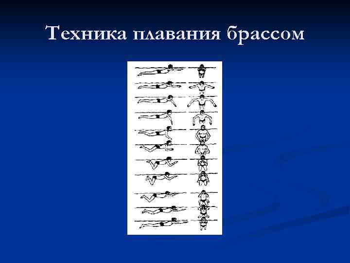Техника плавания брассом 