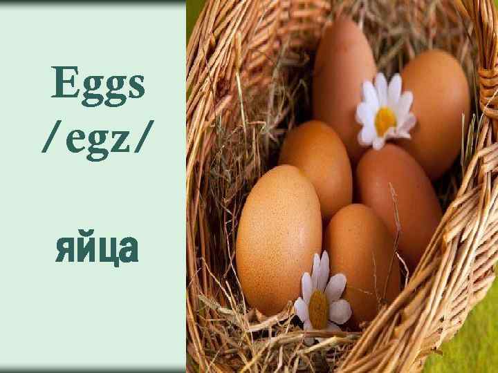 Eggs /egz/ яйца 