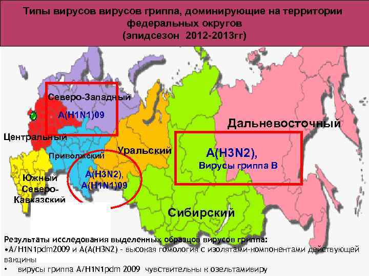 Типы вирусов гриппа, доминирующие на территории федеральных округов (эпидсезон 2012 -2013 гг) Северо-Западный А(Н