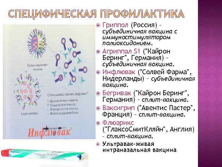  Гриппол (Россия) – Агриппал S 1 ("Кайрон Беринг", Германия) – субъединичная вакцина с