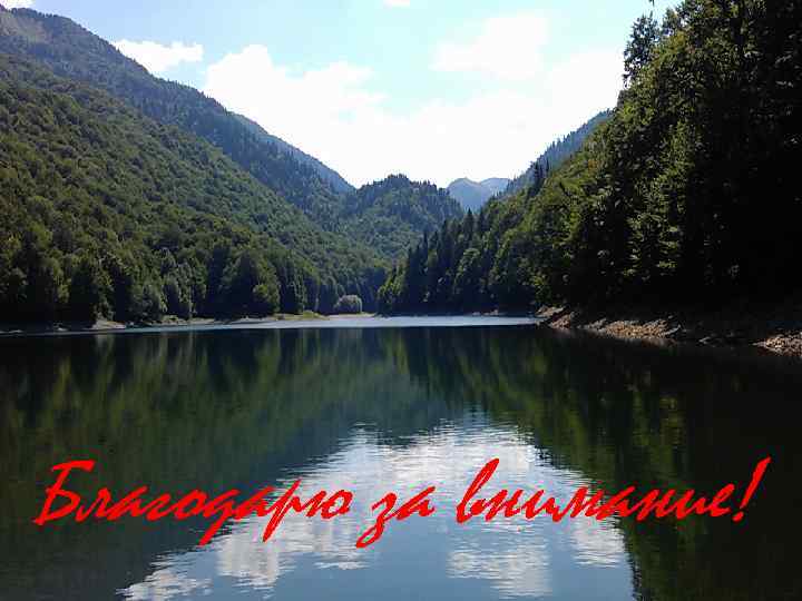 Благодарю за внимание! 