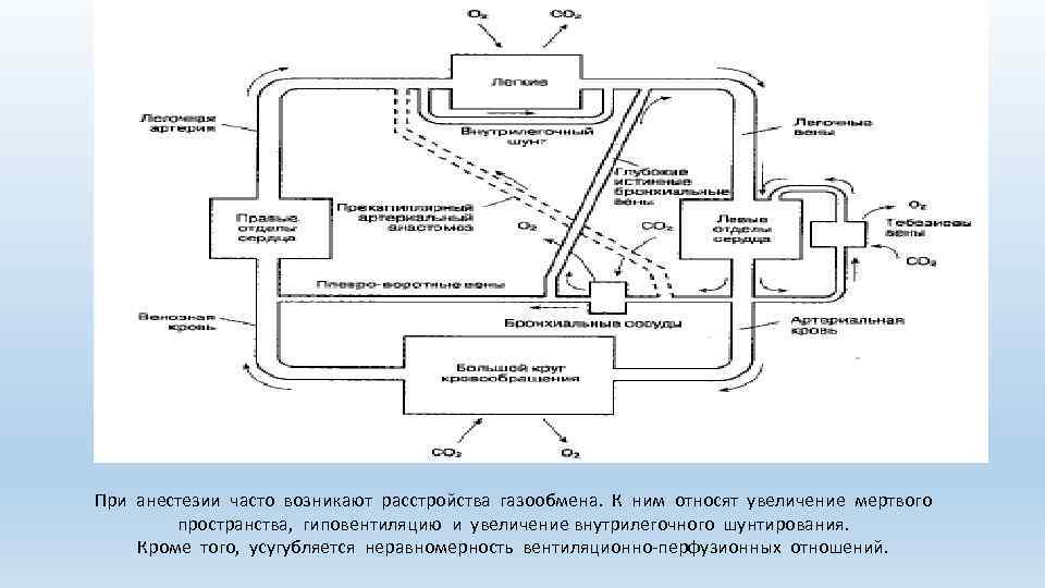 При анестезии часто возникают расстройства газообмена. К ним относят увеличение мертвого пространства, гиповентиляцию и