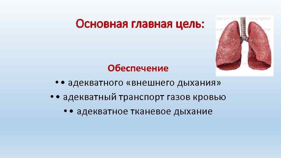 Основная главная цель: Обеспечение • • адекватного «внешнего дыхания» • • адекватный транспорт газов