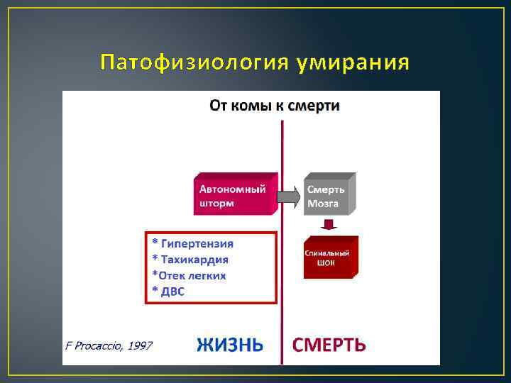 Патофизиология умирания 