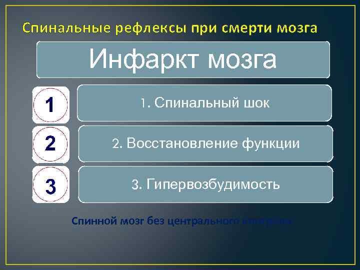 Спинальные рефлексы при смерти мозга Инфаркт мозга 1. Спинальный шок 2. Восстановление функции 3.