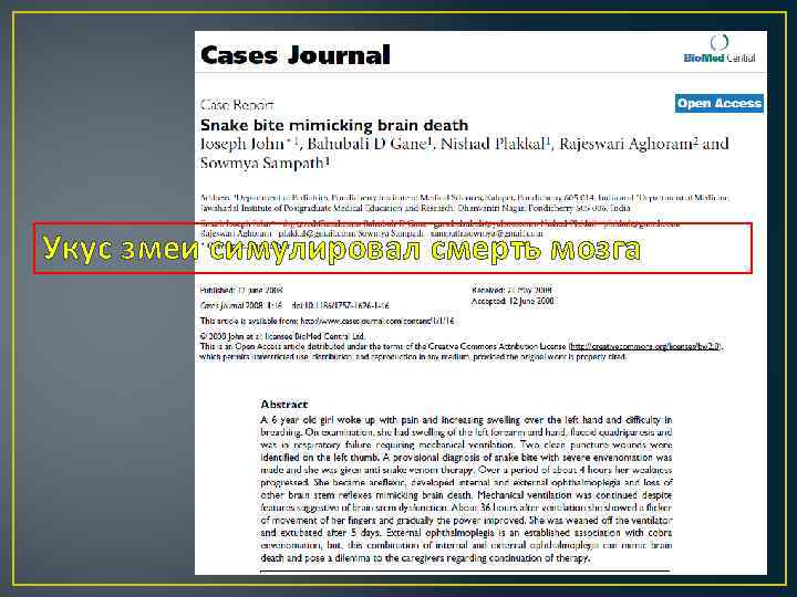 Укус змеи симулировал смерть мозга 