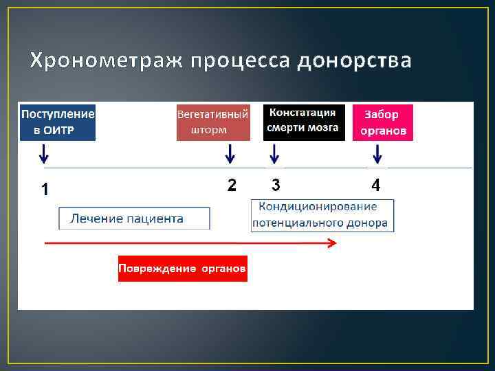 Хронометраж процесса донорства 