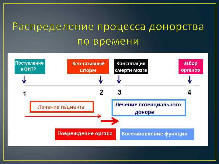 Распределение процесса донорства по времени 
