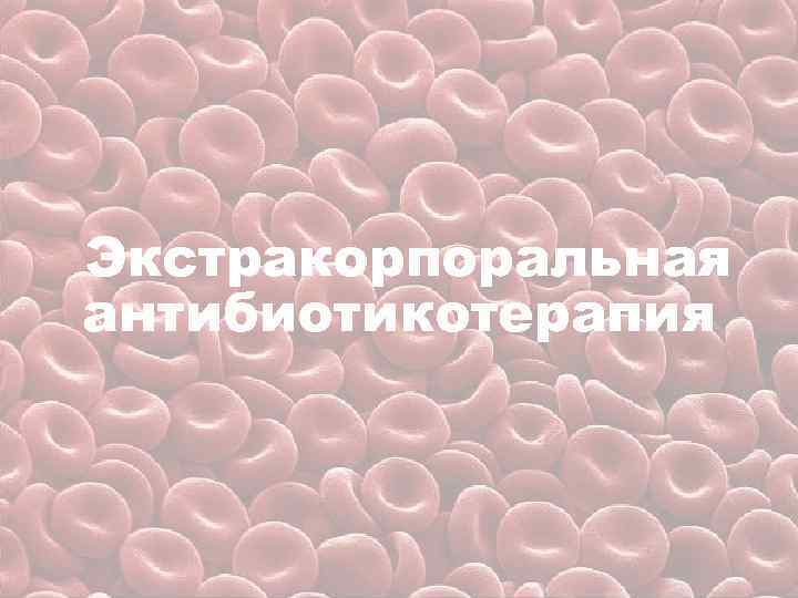 Экстракорпоральная антибиотикотерапия 