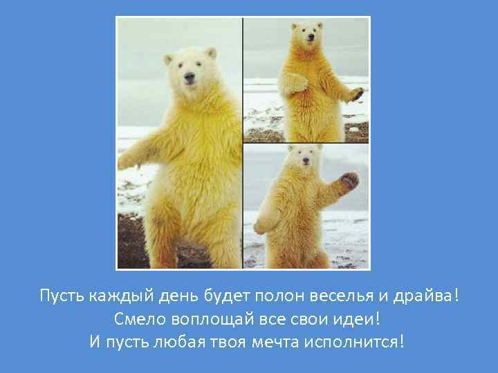 Пусть каждый день будет полон веселья и драйва! Смело воплощай все свои идеи! И