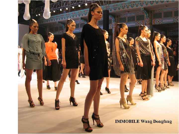 IMMOBILE Wang Dongfang 