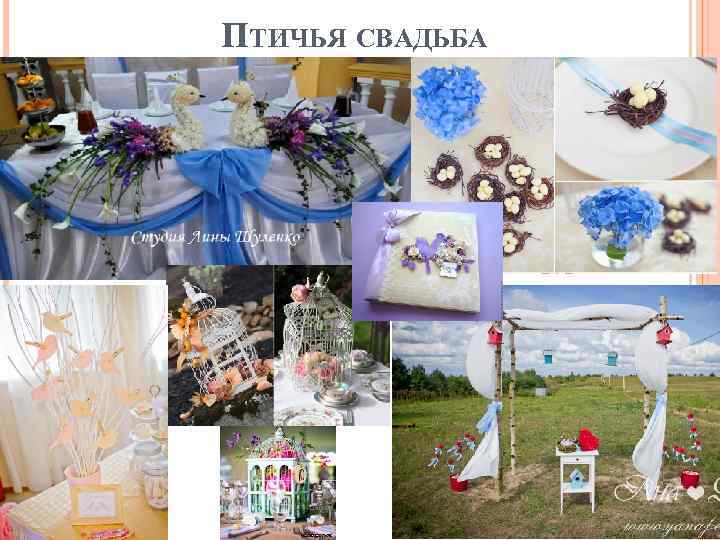 ПТИЧЬЯ СВАДЬБА 