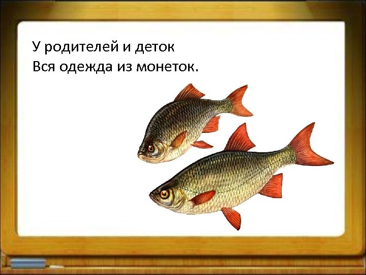 У родителей и деток Вся одежда из монеток. 