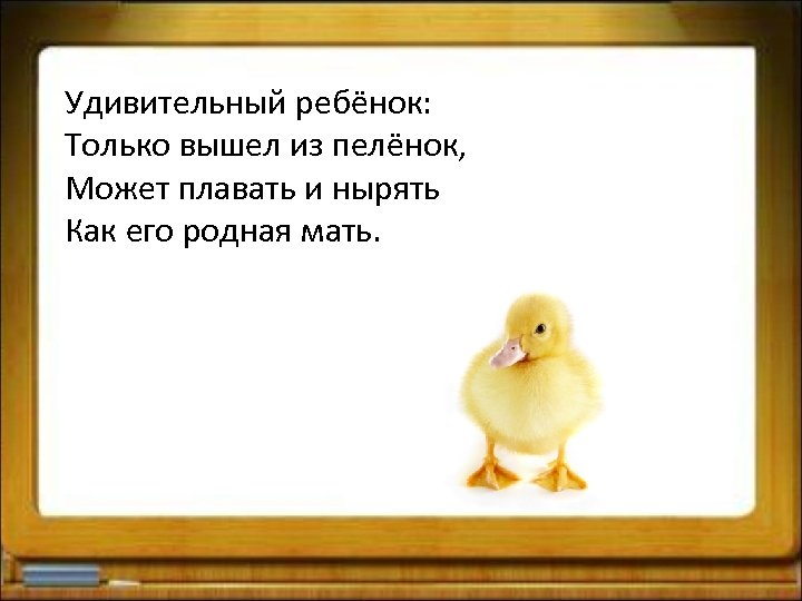Удивительный ребёнок: Только вышел из пелёнок, Может плавать и нырять Как его родная мать.