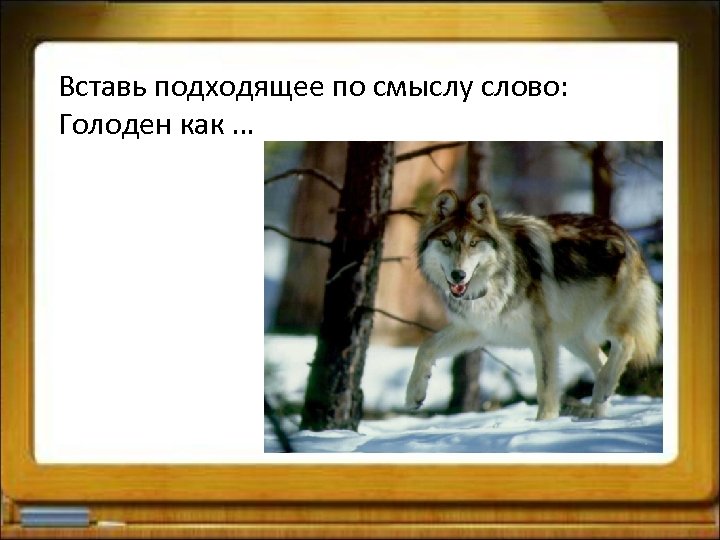 Вставь подходящее по смыслу слово: Голоден как … 