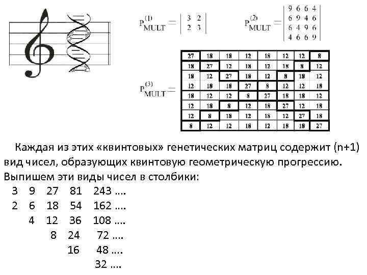 Каждая из этих «квинтовых» генетических матриц содержит (n+1) вид чисел, образующих квинтовую геометрическую прогрессию.