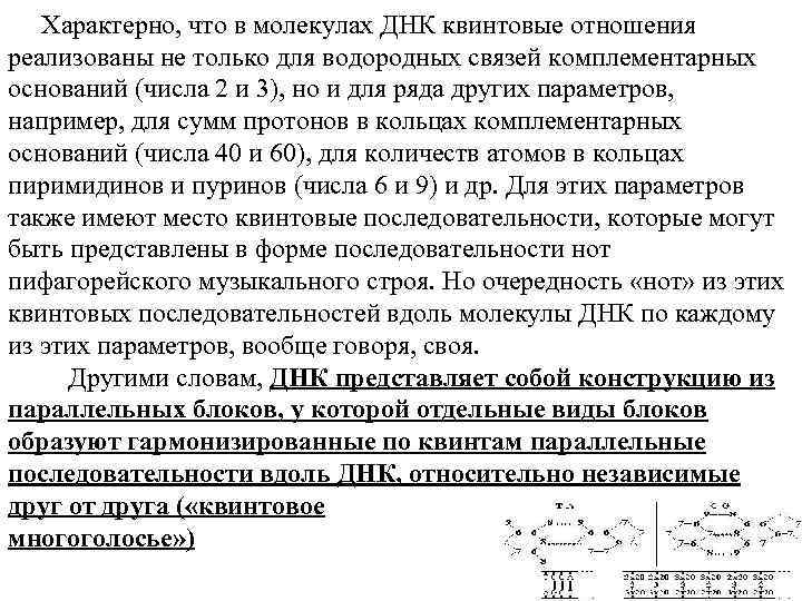 Характерно, что в молекулах ДНК квинтовые отношения реализованы не только для водородных связей комплементарных