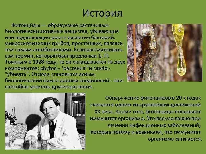 История Фитонци ды — образуемые растениями биологически активные вещества, убивающие или подавляющие рост и