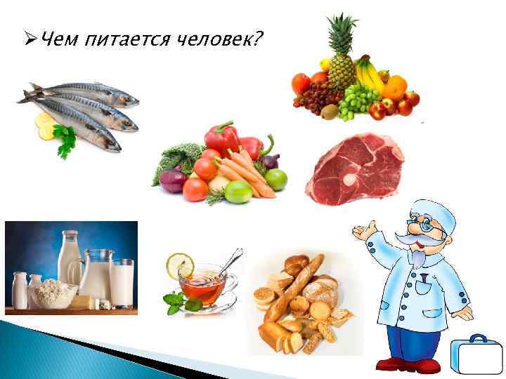 ØЧем питается человек? 