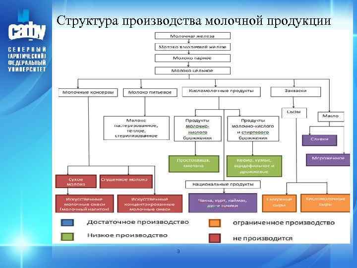 Структура производства молочной продукции 3 