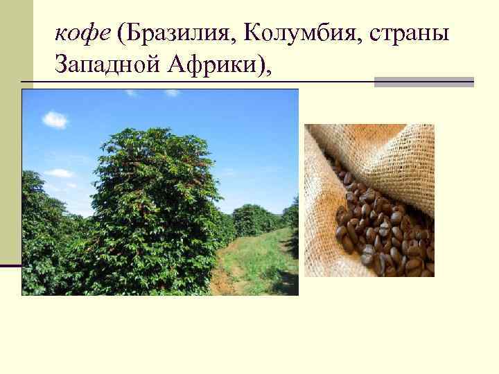 кофе (Бразилия, Колумбия, страны Западной Африки), 