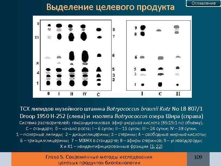 Выделение целевого продукта Оглавление ТСХ липидов музейного штамма Botryococcus braunii Kutz No LB 807/1