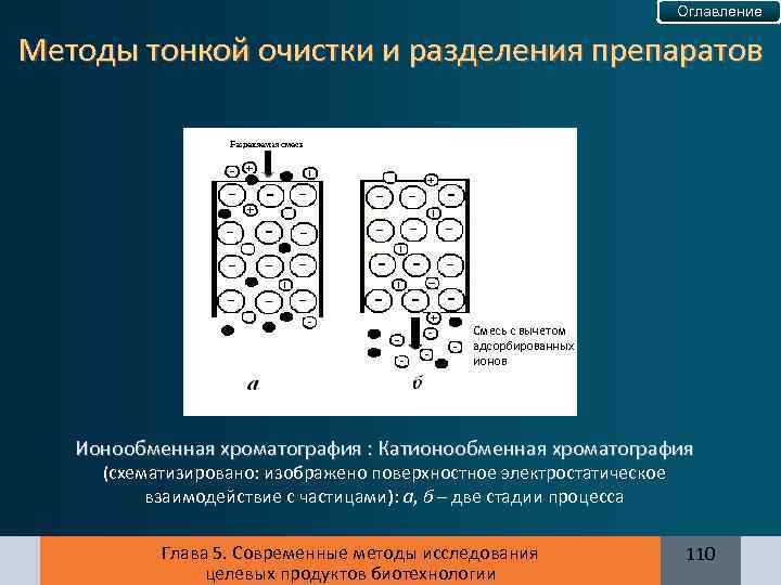 Оглавление Методы тонкой очистки и разделения препаратов Смесь с вычетом адсорбированных ионов Ионообменная хроматография