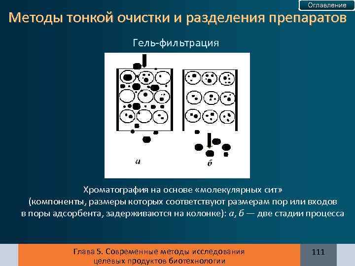 Оглавление Методы тонкой очистки и разделения препаратов Гель-фильтрация Хроматография на основе «молекулярных сит» (компоненты,