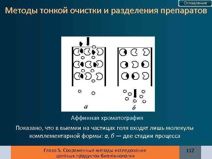 Оглавление Методы тонкой очистки и разделения препаратов Аффинная хроматография Показано, что в выемки на