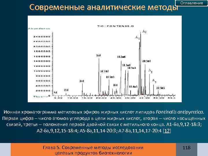 Современные аналитические методы Оглавление Ионная хроматограмма метиловых эфиров жирных кислот липидов Fontinalis antipyretica. Первая
