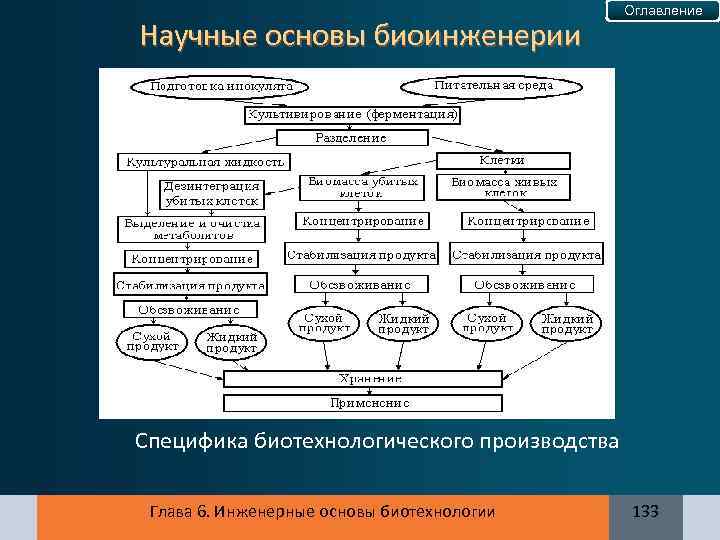 Научные основы биоинженерии Оглавление Специфика биотехнологического производства Глава 6. Инженерные основы биотехнологии 133 
