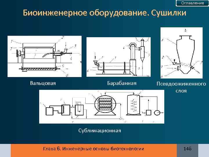 Оглавление Биоинженерное оборудование. Сушилки Вальцовая Барабанная Псевдоожиженного слоя Сублимационная Глава 6. Инженерные основы биотехнологии