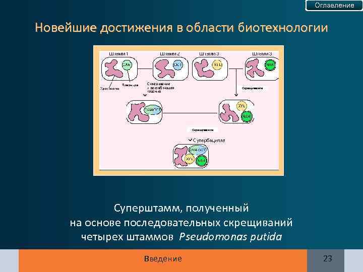 Оглавление Новейшие достижения в области биотехнологии Скрещивание Суперштамм, полученный на основе последовательных скрещиваний четырех