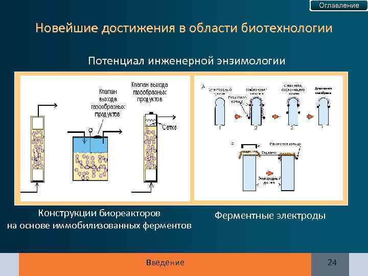 Оглавление Новейшие достижения в области биотехнологии Потенциал инженерной энзимологии Диалезная мембрана Конструкции биореакторов на