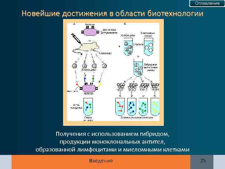 Оглавление Новейшие достижения в области биотехнологии Получения с использованием гибридом, продукции моноклональных антител, образованной