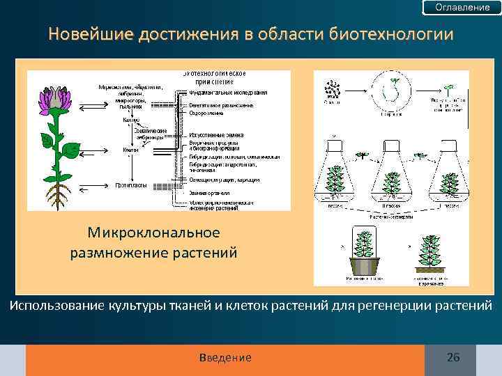 Оглавление Новейшие достижения в области биотехнологии Микроклональное размножение растений Использование культуры тканей и клеток
