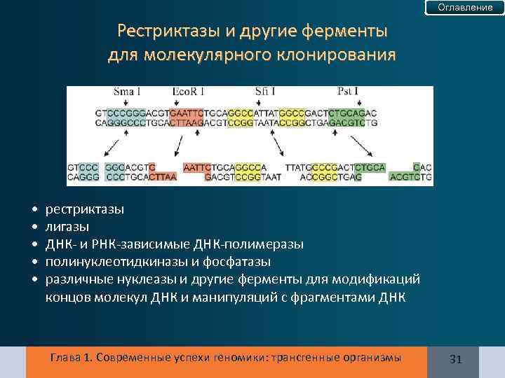 Оглавление Рестриктазы и другие ферменты для молекулярного клонирования • • • рестриктазы лигазы ДНК-