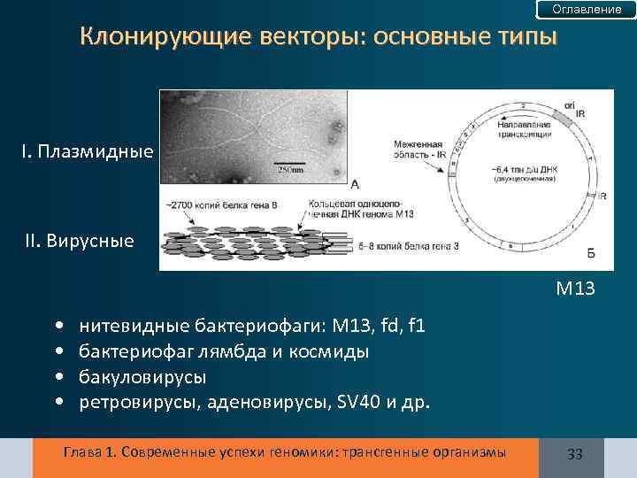 Оглавление Клонирующие векторы: основные типы I. Плазмидные II. Вирусные М 13 • • нитевидные