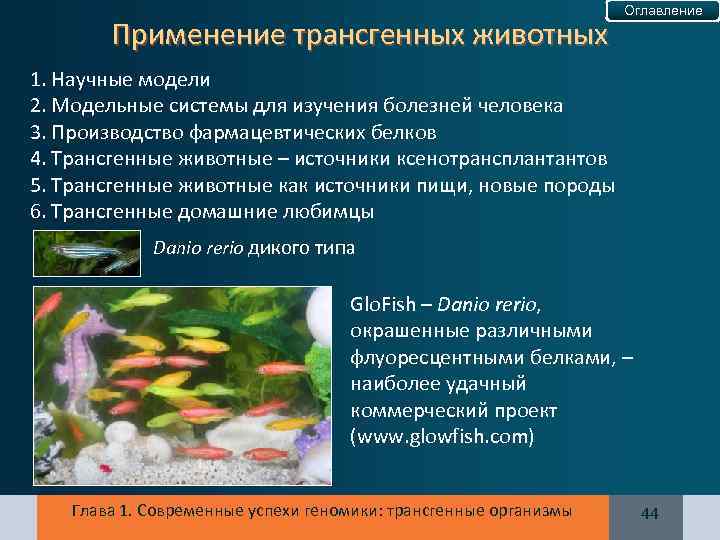 Применение трансгенных животных Оглавление 1. Научные модели 2. Модельные системы для изучения болезней человека