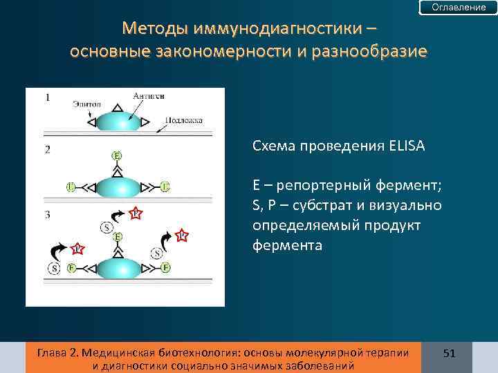 Оглавление Методы иммунодиагностики – основные закономерности и разнообразие Схема проведения ELISA Е – репортерный