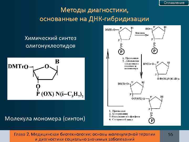 Оглавление Методы диагностики, основанные на ДНК-гибридизации Химический синтез олигонуклеотидов Молекула мономера (синтон) Глава 2.