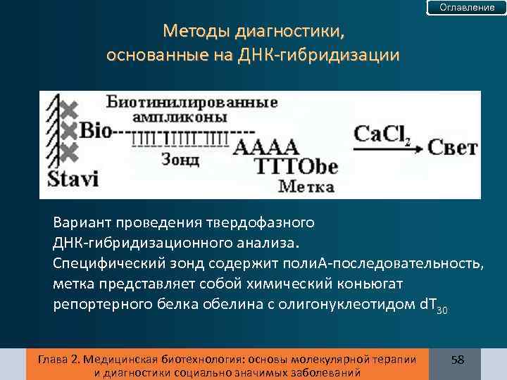 Оглавление Методы диагностики, основанные на ДНК-гибридизации Вариант проведения твердофазного ДНК-гибридизационного анализа. Специфический зонд содержит
