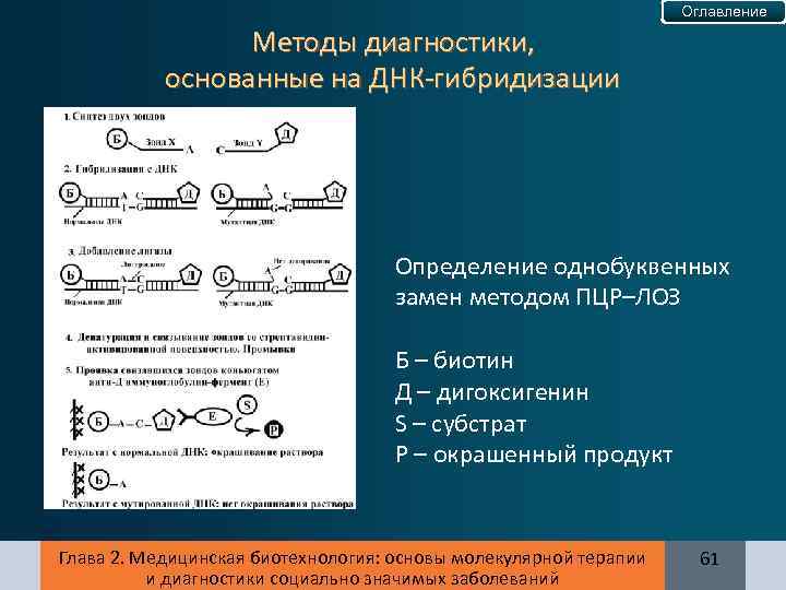 Оглавление Методы диагностики, основанные на ДНК-гибридизации Определение однобуквенных замен методом ПЦР–ЛОЗ Б – биотин