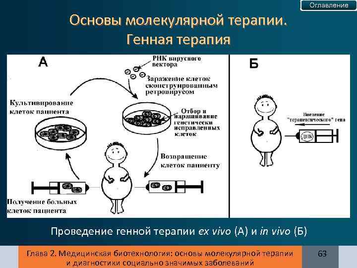 Оглавление Основы молекулярной терапии. Генная терапия Проведение генной терапии ex vivo (А) и in