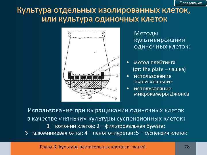Оглавление Культура отдельных изолированных клеток, или культура одиночных клеток Методы культивирования одиночных клеток: •