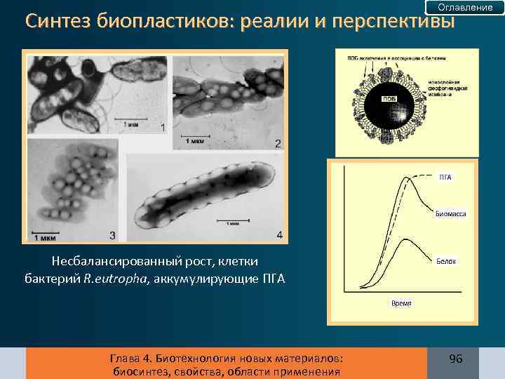 Оглавление Синтез биопластиков: реалии и перспективы Несбалансированный рост, клетки бактерий R. eutropha, аккумулирующие ПГА