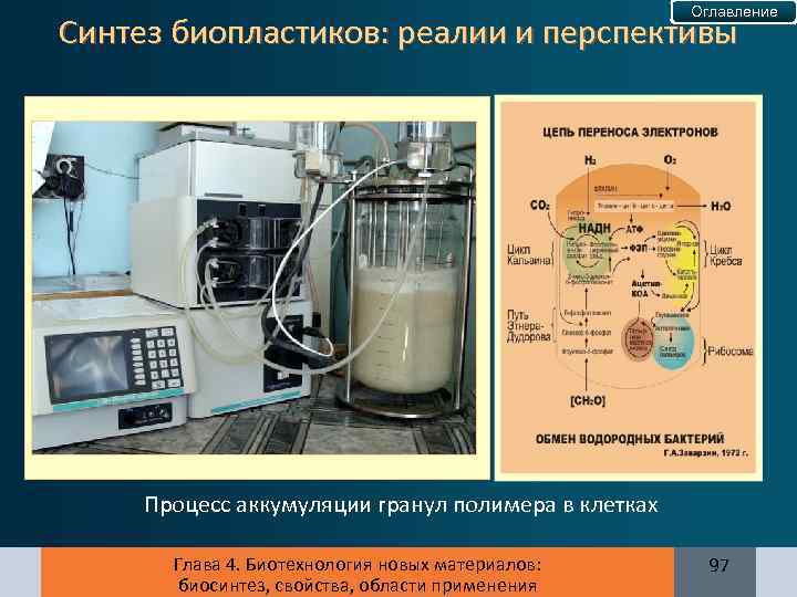 Оглавление Синтез биопластиков: реалии и перспективы Процесс аккумуляции гранул полимера в клетках Глава 4.