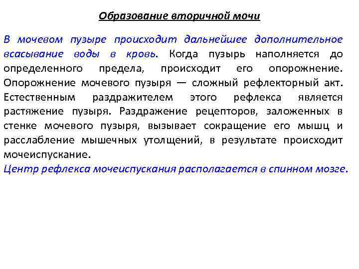 Образование вторичной мочи В мочевом пузыре происходит дальнейшее дополнительное всасывание воды в кровь. Когда
