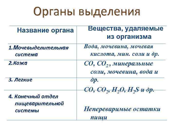 Органы выделения Название органа 1. Мочевыделительная система 2. Кожа 3. Легкие 4. Конечный отдел